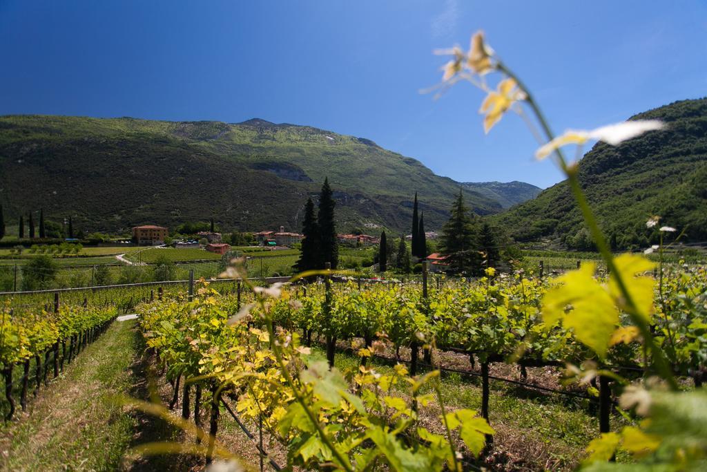 Agriturismo Maso Lizzone Дро Экстерьер фото